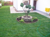 Ogród z trawy z rolki, chodnik oraz kwietnik murowany z płyt granitowych